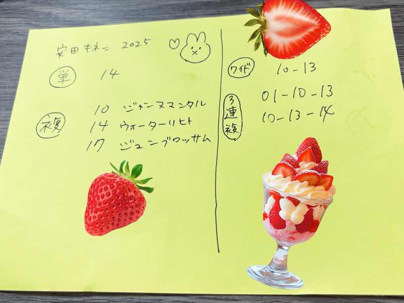 写真1